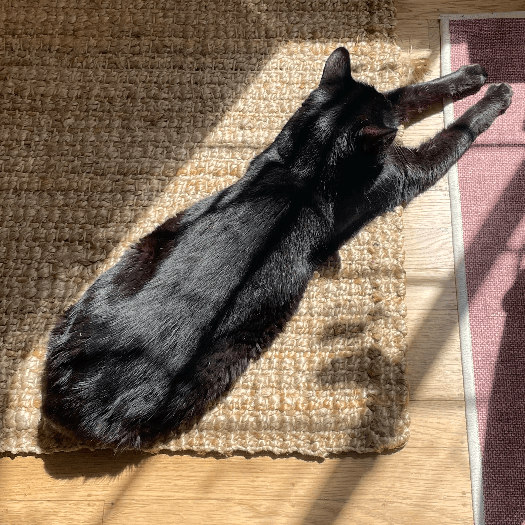 A black cat on a rattan matt stretched out in the sun